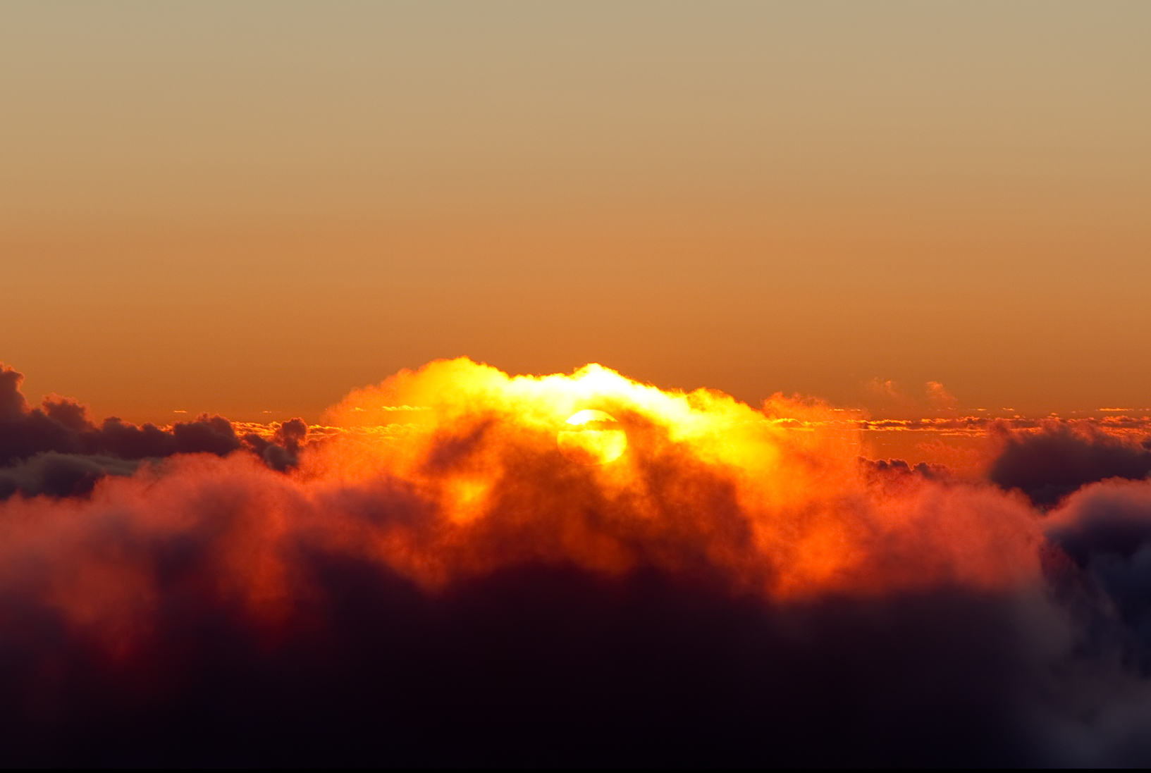 Best Haleakala Sunrise Tour Company (2026) — 4 Compared