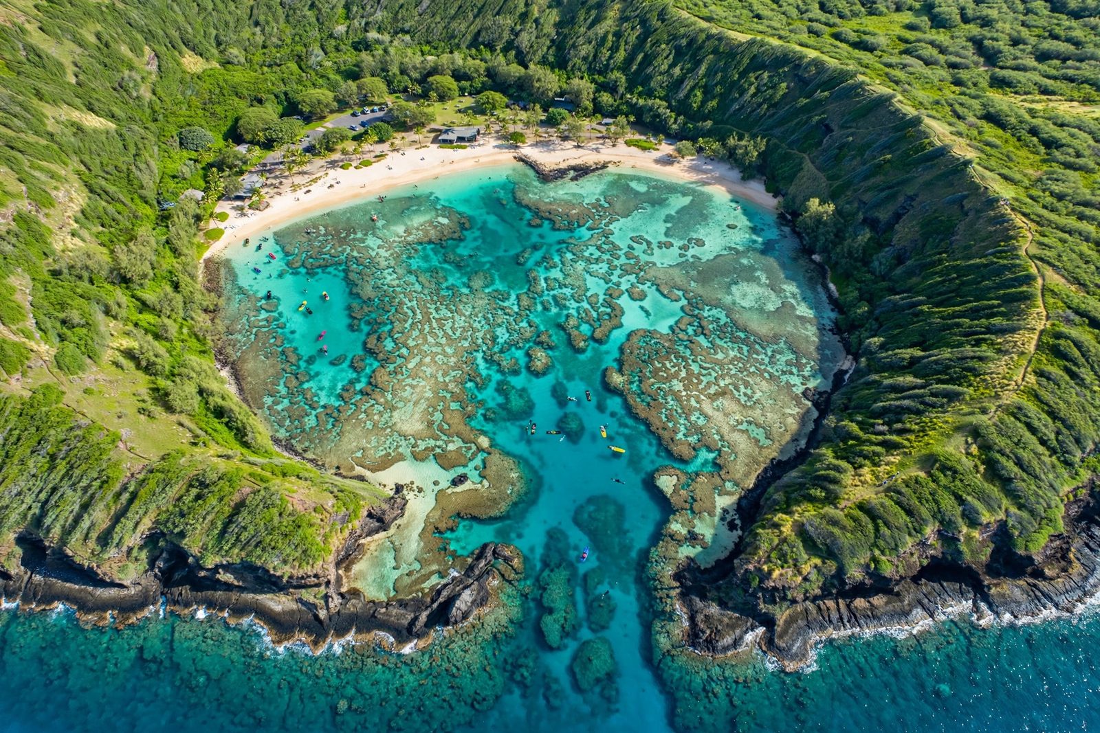 Hanauma Bay Reservation vs Snorkeling Tour (2026): Real Costs, Rules and Which to Book