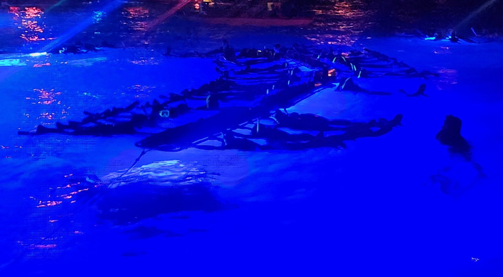 Manta Village vs Manta Heaven (2026) — Best Manta Ray Night Snorkel in Kona, Reviewed