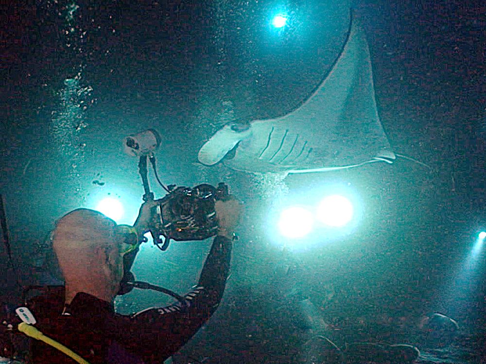 Best Manta Ray Night Snorkel in Kona (2026) — 5 Operators Compared