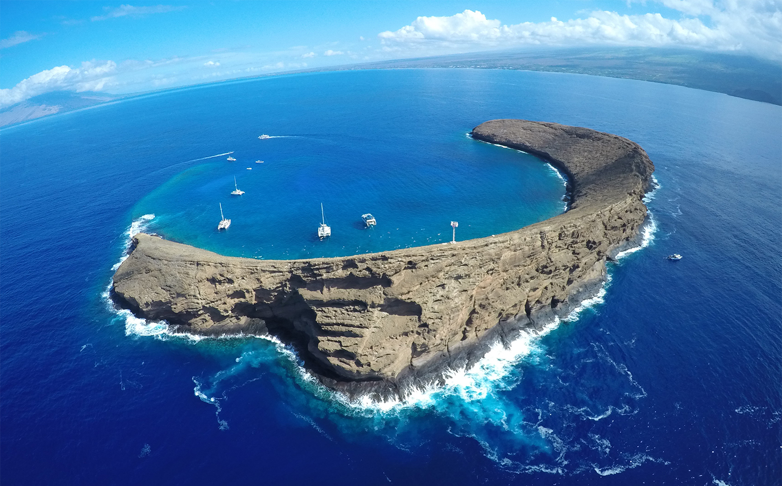 Best Molokini Morning Snorkel Tour (2026) — 4 Compared