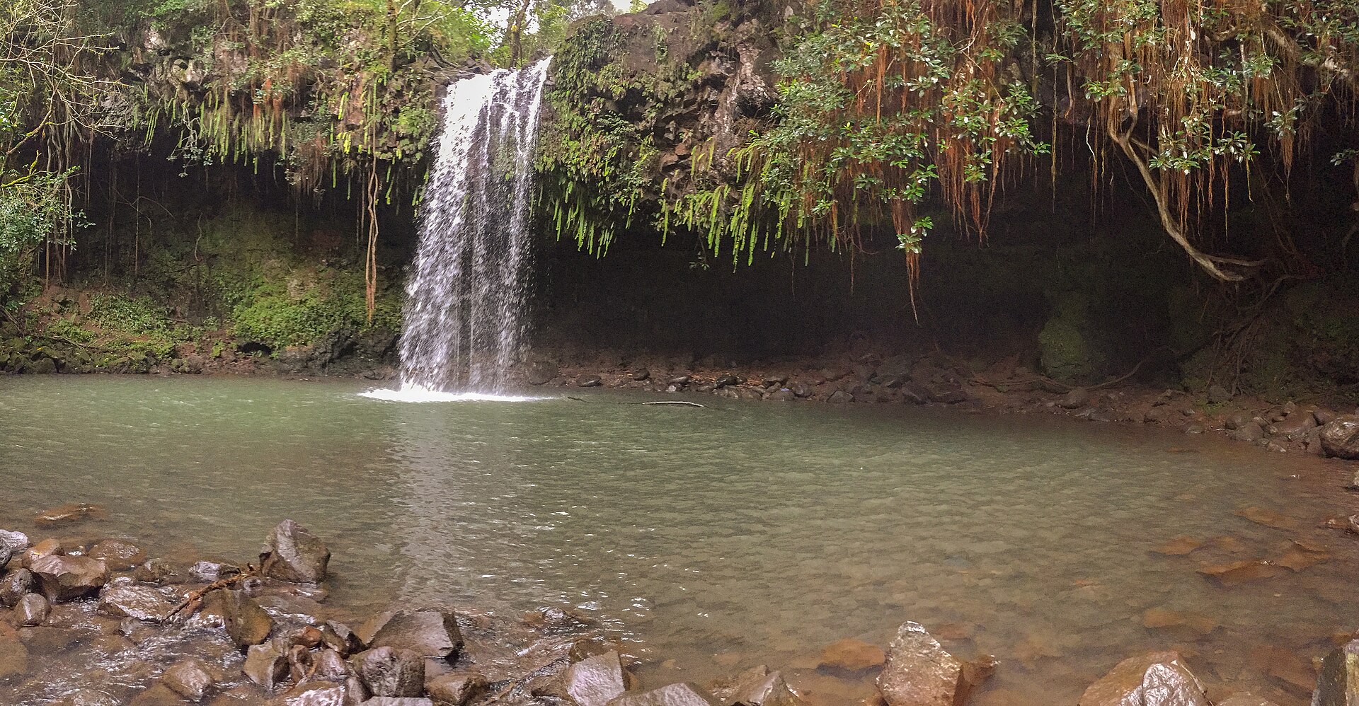 Should You Drive the Road to Hana Yourself or Take a Tour? (2026 Guide)