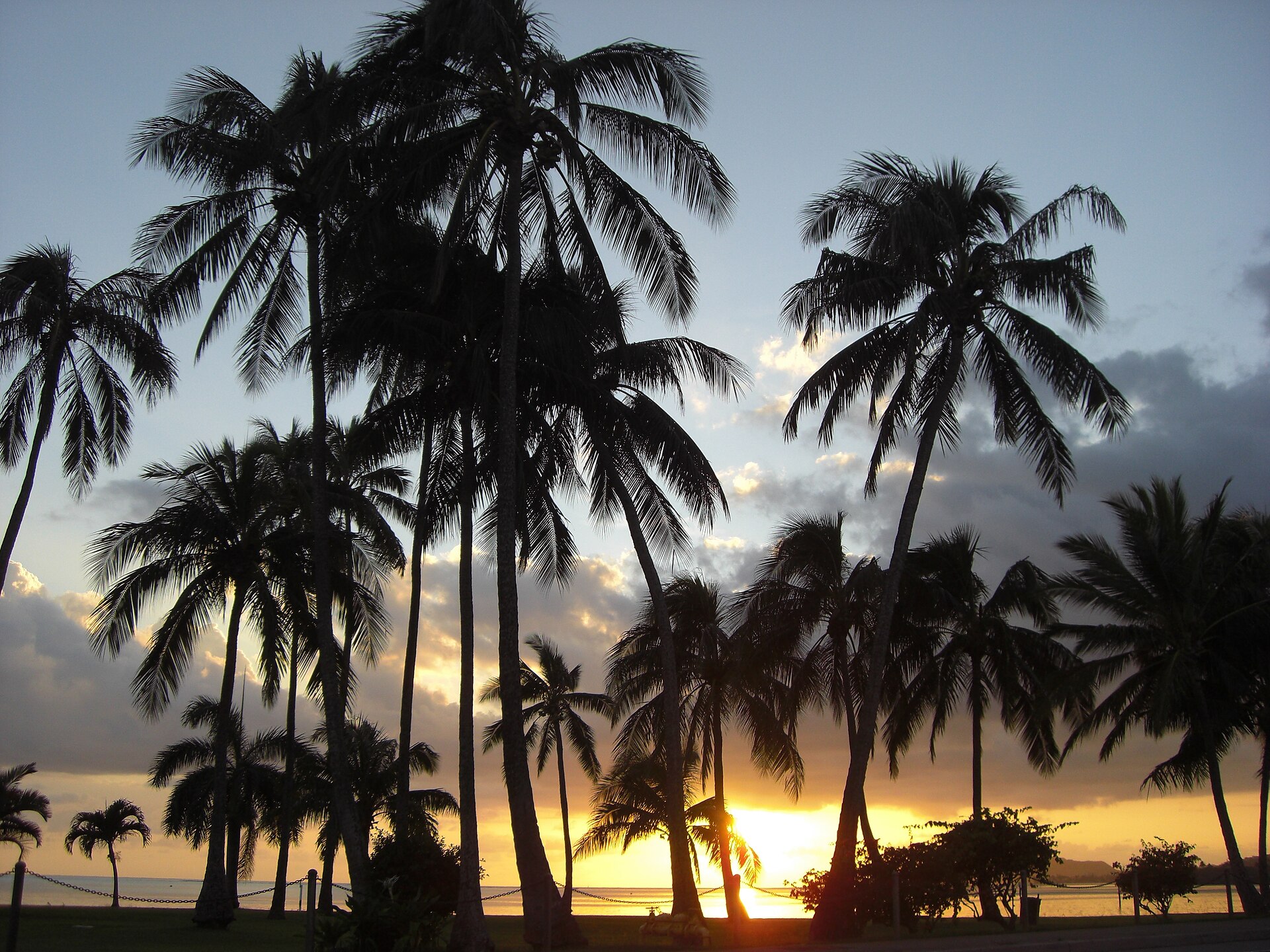 Best Waikiki Sunset Sail Catamaran (2026) — 4 Compared